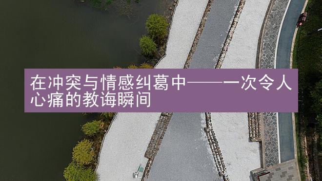 在冲突与情感纠葛中——一次令人心痛的教诲瞬间